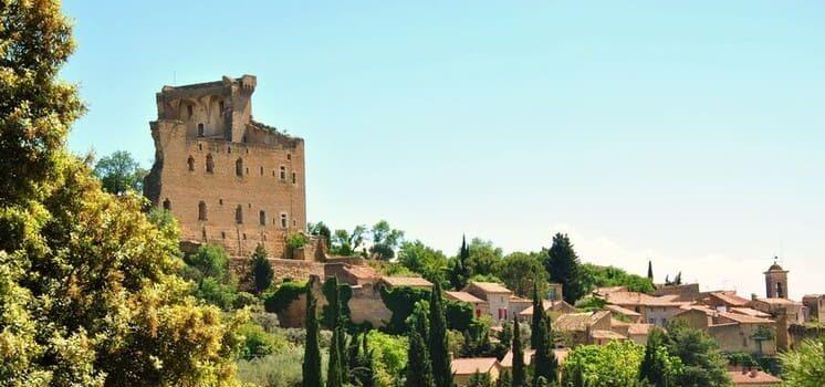 Vue du village de Châteauneuf du Pape